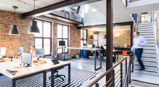 Bureaux modernes avec murs en briques et décoration industrielle